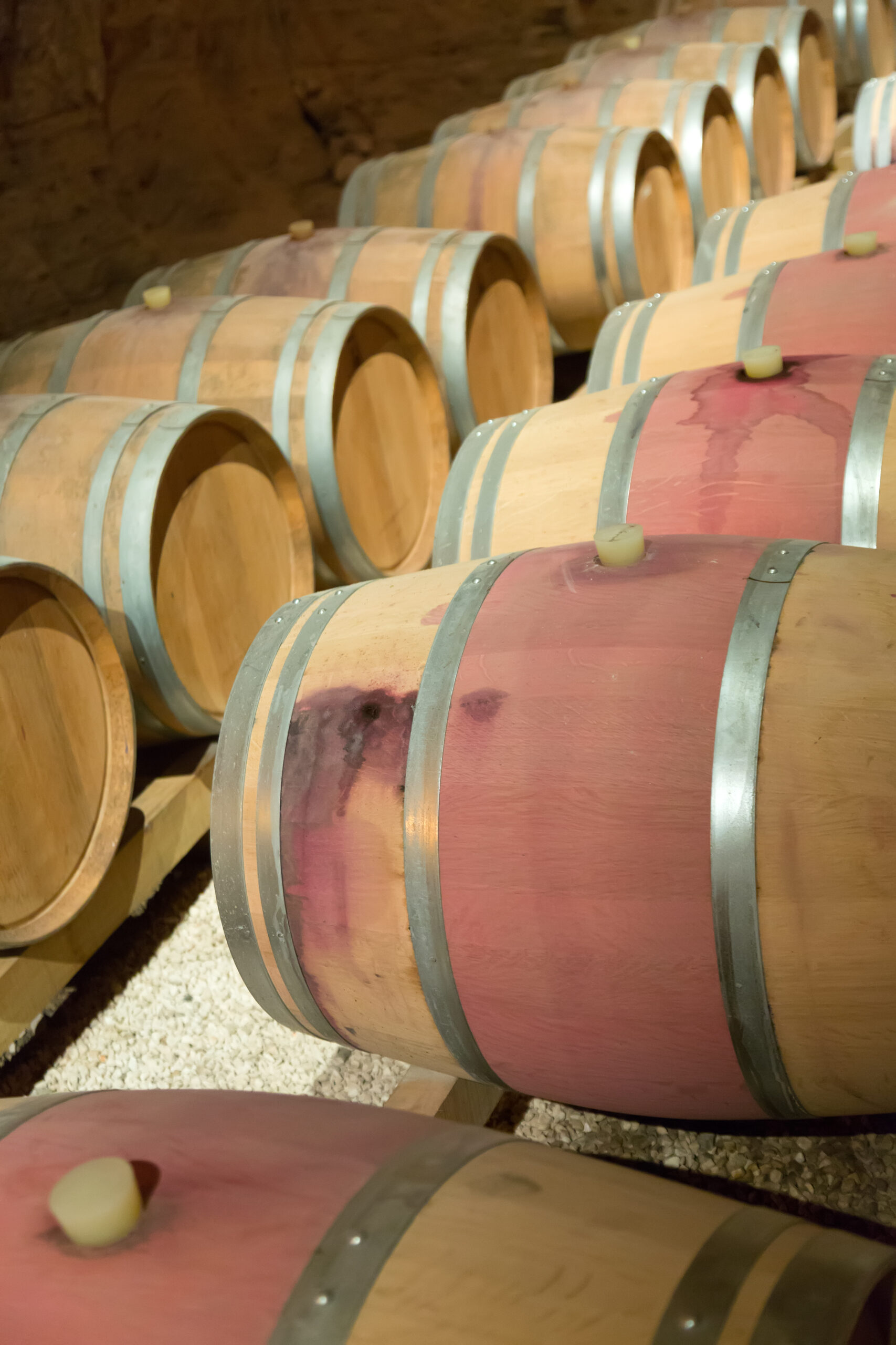 french winery with wooden barrels in rows