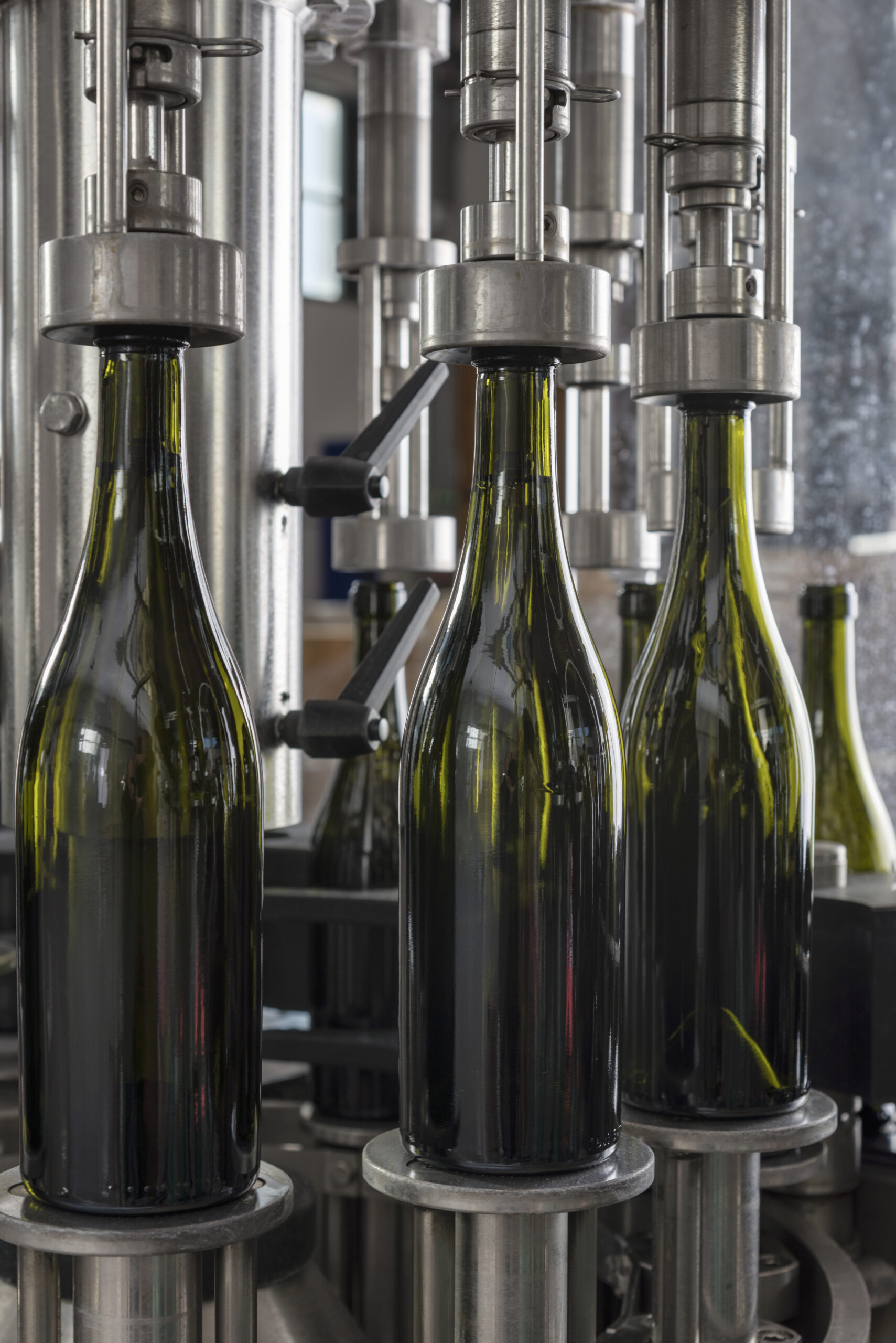 Italy, Sicily, wine bottles filled with wine by an industrial machine in a wine factory