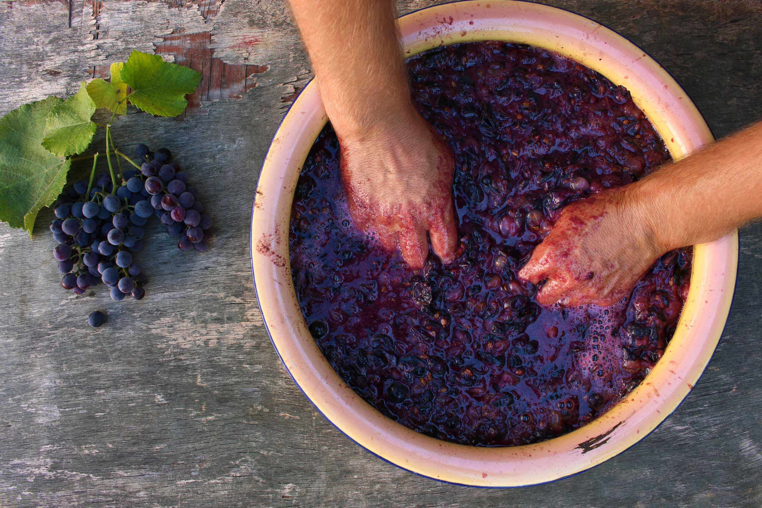 Concept of making homemade red wine.