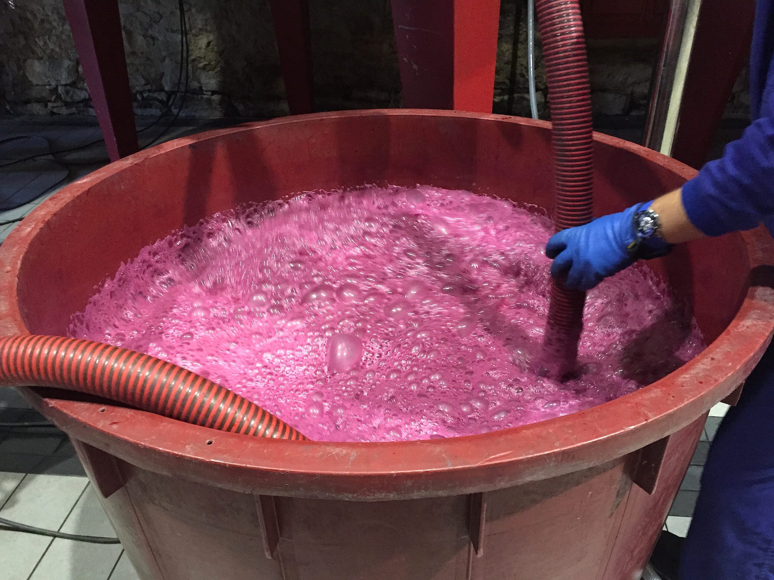 midsection-person-holding-pipe-wine-container-winery (1)